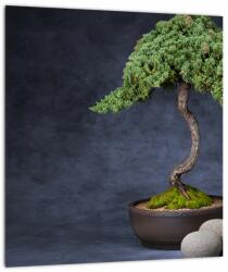 Mivali Tablou - Bonsai, dintr-o bucată 30x30 cm (V022509V3030)