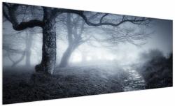 Mivali Tablou - Drum pin ceață, dintr-o bucată 250x125 cm (V022009V250125)