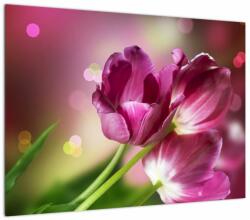 Mivali Tablou pe sticlă cu lalele roz, dintr-o bucată 70x50 cm pe sticlă (V020887V7050GD)