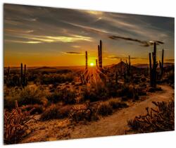 Mivali Tablou - Sfărșit de zi în deșertul Arizona, dintr-o bucată 90x60 cm (V021638V9060)