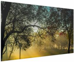 Mivali Tablou cu răsărit de soare, dintr-o bucată 150x100 cm (V020270V150100)