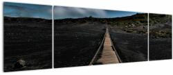 Mivali Tablou drumul de lemn în amurg, din trei bucăți 170x50 cm (V020643V17050)