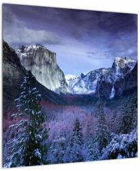 Mivali Tablou - Yosemite, USA, dintr-o bucată 50x50 cm (V021518V5050)