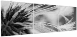 Mivali Tablou - Macro, alb-negru, din trei bucăți 150x50 cm (V024115V15050)