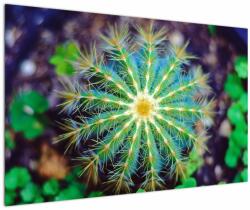 Mivali Tablou cu cactus, dintr-o bucată 120x80 cm (V020556V12080)