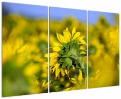 Mivali Tablou cu floarea soarelui, din trei bucăți 120x80 cm (V020247V120803PCS)