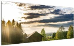 Mivali Tablou cabana în pădure, dintr-o bucată 120x50 cm (V020263V12050)