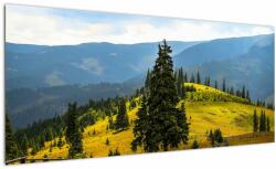 Mivali Tablou - Lunca de munte, dintr-o bucată 100x40 cm (V022712V10040)