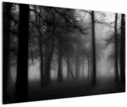 Mivali Tablou - Pădure în ceață, dintr-o bucată 120x80 cm (V023566V12080)