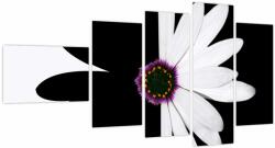 Mivali Tablou - Floare, alb- negru, din cinci bucăți 110x60 cm (V023685V11060)