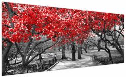 Mivali Tablou - Copaci roșii, Central Park, New York, dintr-o bucată 250x125 cm (V023117V250125)