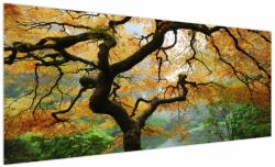Mivali Tablou - Arțarul japonez galben, Portland, Oregon, dintr-o bucată 250x125 cm (V023676V250125)