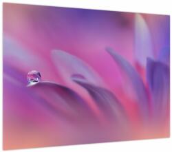 Mivali Tablou - Picătură pe floare, dintr-o bucată 70x50 cm (V024022V7050)