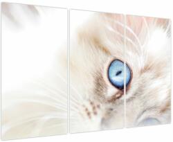 Mivali Tablou - Pisicuță, din trei bucăți 120x80 cm (V023746V120803PCS)