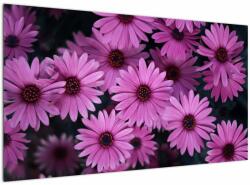 Mivali Tablou cu florile roz, dintr-o bucată 120x70 cm (V020923V12070)
