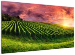 Mivali Tablou cu vie cu cerul color, dintr-o bucată 120x70 cm (V020336V12070)