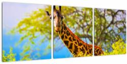 Mivali Tablou - Girafa în Africa, din trei bucăți 90x30 cm (V023370V9030)