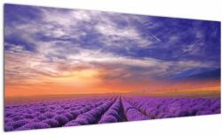 Mivali Tablou câmpului cu lavandă, dintr-o bucată 100x40 cm (V022159V10040)