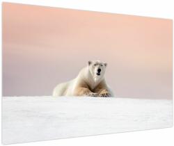 Mivali Tablou - Urs polar, dintr-o bucată 120x80 cm (V023979V12080)