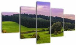 Mivali Tablou cu lunca, din cinci bucăți 125x70 cm (V020343V12570)