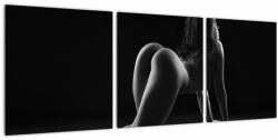 Mivali Tablou - Nud feminin, din trei bucăți 90x30 cm (V023081V9030)