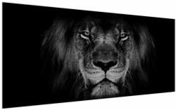 Mivali Tablou - Leu majestic, dintr-o bucată 200x100 cm (V022102V200100)