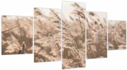 Mivali Tablou - Adiere de luncă, din cinci bucăți 150x80 cm (V023966V150805PCS)