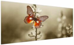 Mivali Tablou cu fluture, dintr-o bucată 250x125 cm (V022227V250125)