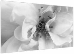 Mivali Tablou - Floare, alb-negru, dintr-o bucată 120x70 cm (V024111V12070)