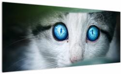 Mivali Tablou cu pisica, dintr-o bucată 100x40 cm (V020944V10040)