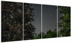 Mivali Tablou cu cerul nocturn, din patru bucăți 160x80 cm (V020998V16080)