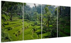 Mivali Tablou cu terasele cu orez Tegalalang, Bali, din patru bucăți 160x80 cm (V021569V16080)