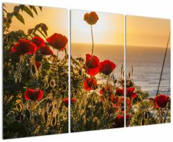 Mivali Tablou cu apus de soare cu flori de maci, din trei bucăți 120x80 cm (V020877V120803PCS)