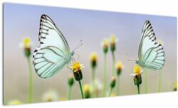 Mivali Tablou cu fluture pe floare, dintr-o bucată 100x40 cm (V021248V10040)