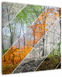 Mivali Tablou - Schimbarea anotimpurilor, dintr-o bucată 70x70 cm (V023320V7070)