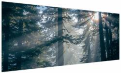 Mivali Tablou cu copaci și soarele translucind, dintr-o bucată 250x125 cm (V021195V250125)