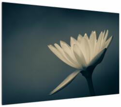 Mivali Tablou cu flori, dintr-o bucată 100x70 cm (V021223V10070)