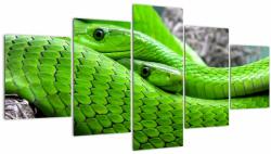 Mivali Tablou cu șerpi verzi, din cinci bucăți 150x80 cm (V020689V150805PCS)
