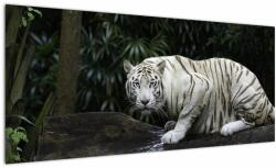 Mivali Tablou - Tigru alb, dintr-o bucată 100x40 cm (V023150V10040)
