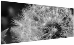Mivali Tablou - mulțime de păpădii, dintr-o bucată 250x125 cm (V020117V250125)