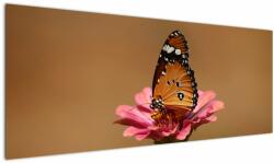 Mivali Tablou cu fluture pe floare, dintr-o bucată 145x58 cm (V020268V14558)