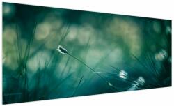 Mivali Tablou - Detaliu iarbă, dintr-o bucată 250x125 cm (V024001V250125)