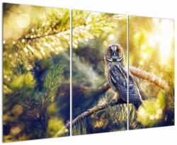 Mivali Tablou - Bufniță în copac, din trei bucăți 120x80 cm (V023347V120803PCS)