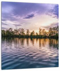 Mivali Tablou pe sticlă cu lac, dintr-o bucată 30x30 cm pe sticlă (V020248V3030GD)
