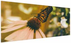 Mivali Tablou cu fluture pe floare, dintr-o bucată 250x125 cm (V021201V250125)