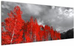 Mivali Tablou - Copaci în culorile toamnei, dintr-o bucată 120x50 cm (V022052V12050)