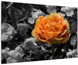 Mivali Tablou cu floare, dintr-o bucată 90x60 cm (V021950V9060)