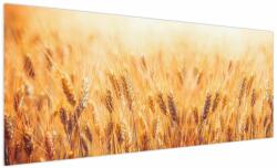 Mivali Tablou - câmp cu grâne, dintr-o bucată 250x125 cm (V022021V250125)
