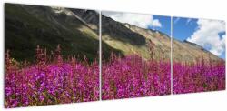 Mivali Tablou sceneriei cu lunca montană, din trei bucăți 150x50 cm (V021604V15050)
