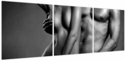 Mivali Tablou - Nud, din trei bucăți 120x40 cm (V023762V12040)